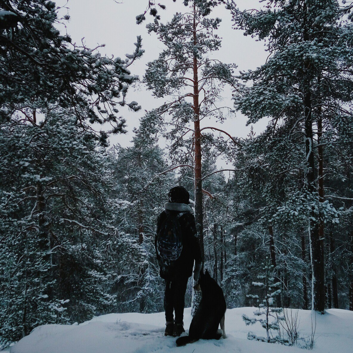 Последний месяц зимы Последний месяц зимы