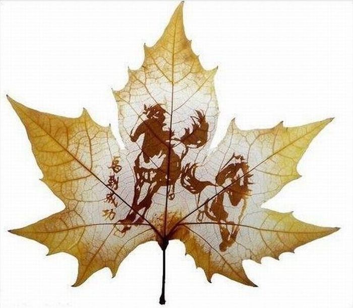 лист, рисунок, удивительно, осень