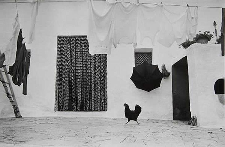 BnWphotos06 50 �������� ����� ����� ������� �� �������� ����������