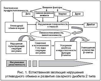 ���5 (331x266, 11Kb)