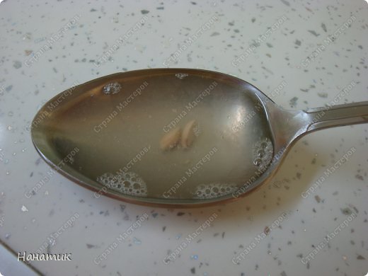  !            Lyumila  ,      <a href=