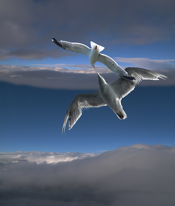3936-peter-holme-iii (596x700, 510Kb)