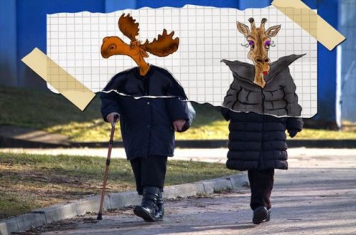 Фотографии с забавными рисунками Алекса Ночного (19 фото)