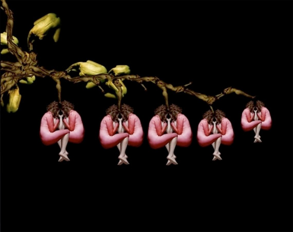 Сесилия Уэббер: Human Flowers