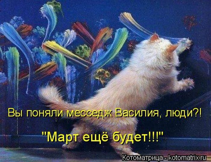 Лучшие котоматрицы, которые зарядят вас позитивом) Лучшие котоматрицы, которые зарядят вас позитивом)
