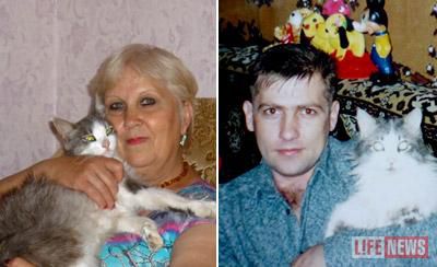 Путь домой - 3000 км кота без сапогов кот, путешествие