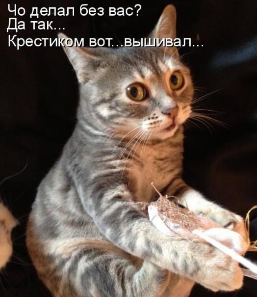 ea71401d863f5f5fa7a08413d49_prev