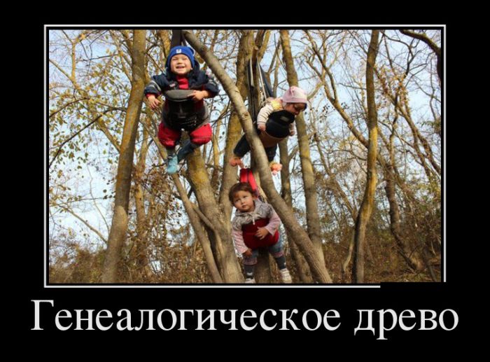 Демотиваторы (30 фото)