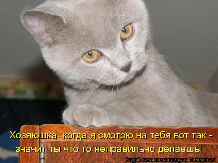 Мысли вслух :)