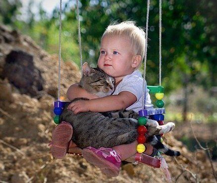 кошки, дети, дом