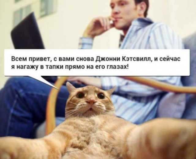 Самые известные мемы в истории Интернета Самые известные мемы в истории Интернета