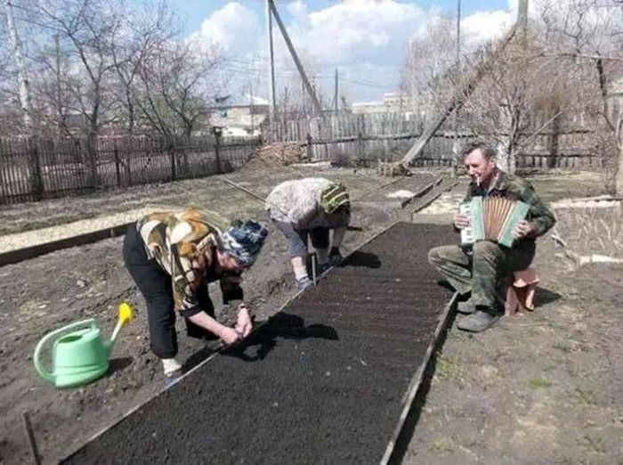 Я и лошадь, я и бык. Я и баба, и мужик!