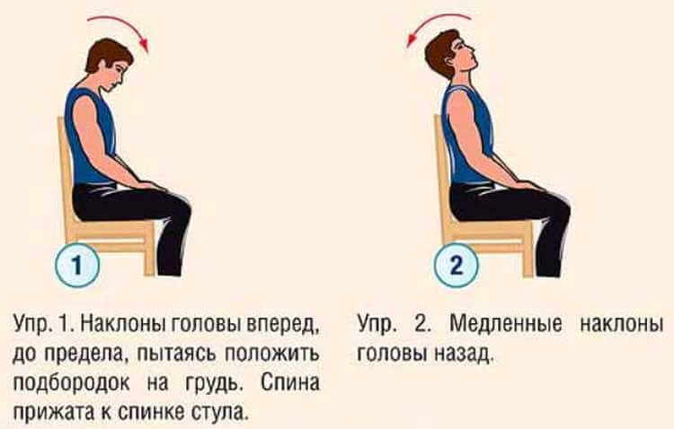 Позвоночник: от какого позвонка что болит? 5 упражнений для позвоночника