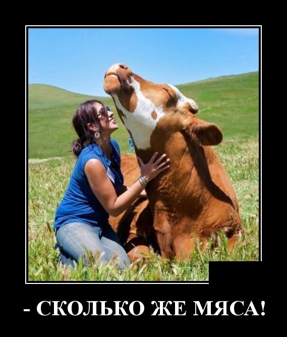 Демотиваторы смешные Демотиваторы смешные