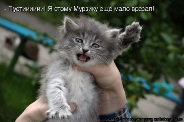 Выходные дни в июне в сша