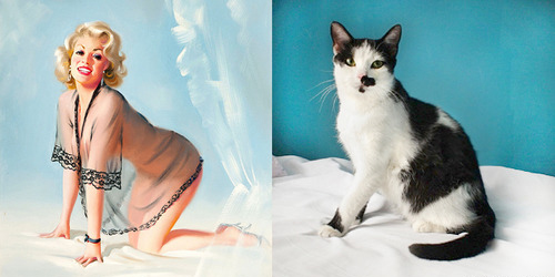 Арт-проект «Cats That Look Like Pin Up Girls» Арт-проект «Cats That Look Like Pin Up Girls»