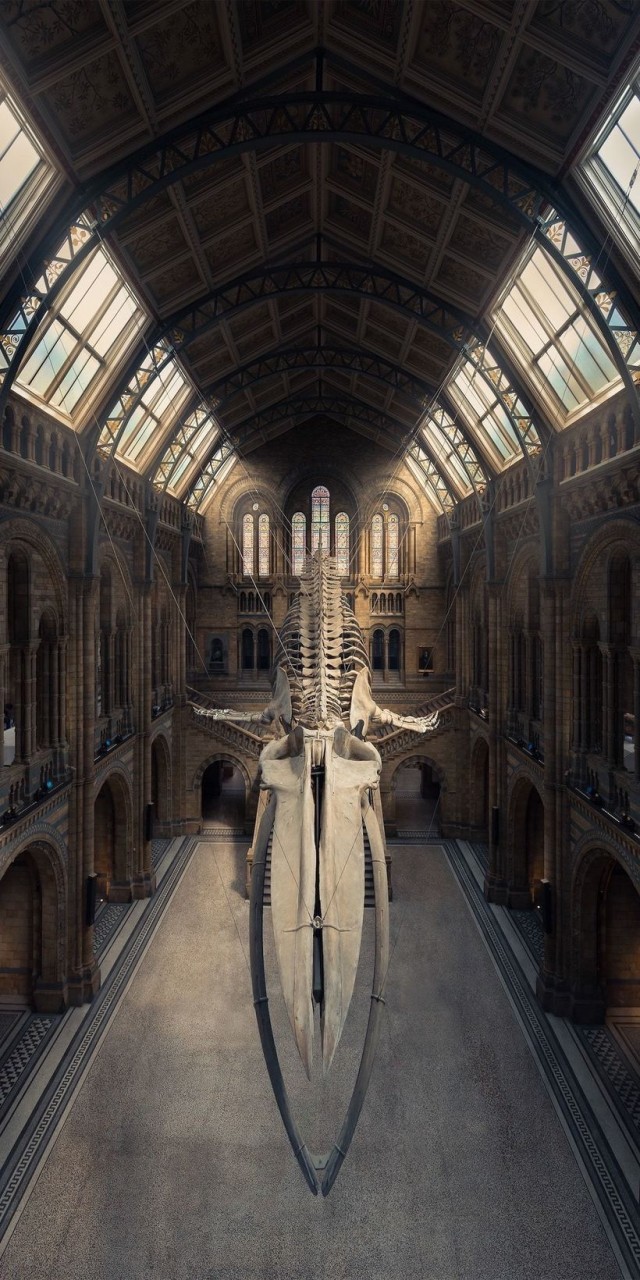 Блог - Великолепные победители фотоконкурса панорам Epson International Pano Awards 2018 Великолепные победители фотоконкурса панорам Epson International Pano Awards 2018
