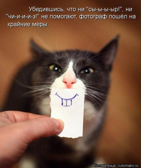 original.jpg#20668082034