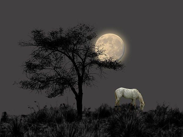 Peter Holme III Tutt'Art@ (3) (600x450, 107Kb)