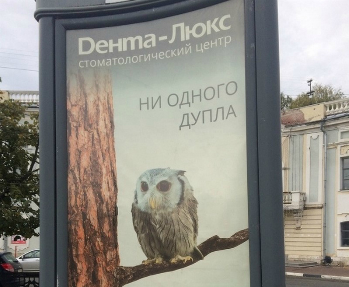 Все дупла заделаны! Все дупла заделаны!