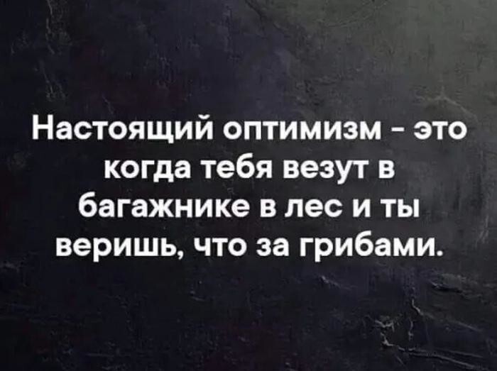 Неунывающие оптимисты Оптимисты неистребимы
(17 фото)