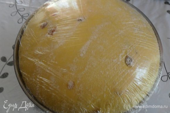 Перекладываем в миску, накрываем пленкой и даем 2 часа подойти в теплом, без сквозняка месте и в тишине. Вот такая красота у нас появится через 2 часа. Перекладываем в миску, накрываем пленкой и даем 2 часа подойти в теплом, без сквозняка месте и в тишине. Вот такая красота у нас появится через 2 часа.