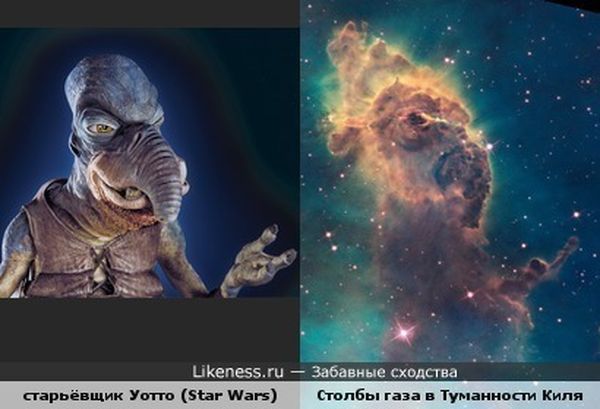 сходства, люди