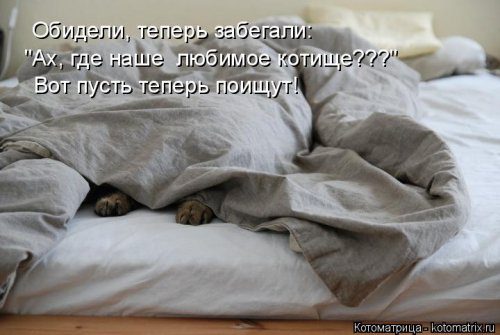 Уморительные котоматрицы для отличного настроения Уморительные котоматрицы для отличного настроения