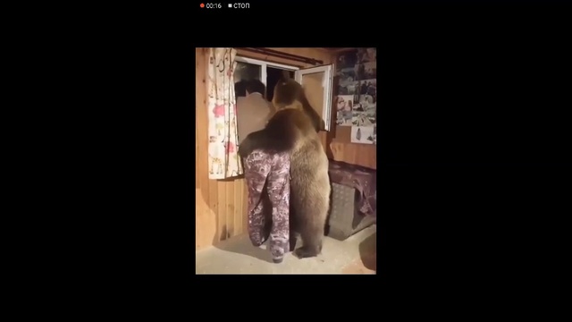 Чего скучаешь у окна? Чего скучаешь у окна?