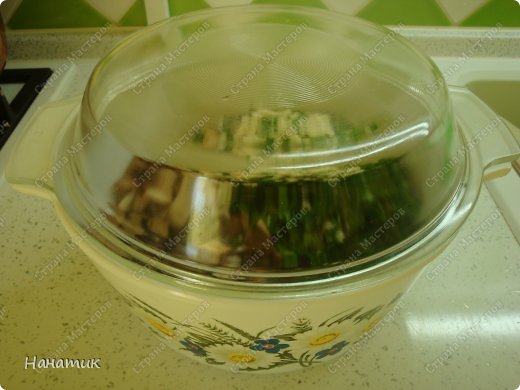  !            Lyumila  ,      <a href=