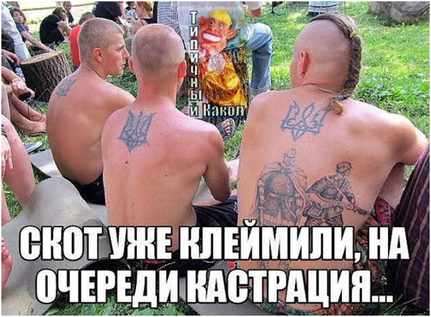 Украинская тупость: патриотизм, фанатизм, дебилизм или шизофрения