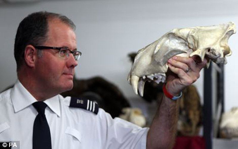 аэропорт, контрабанда, конфискация, Лондон, таможня