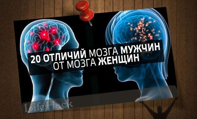 20      :