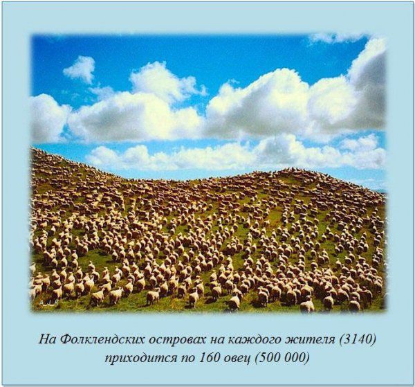 ������������ ����� �����, � ����, ���������