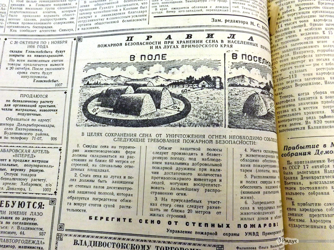 ������ ������ ��������: � ��� ������ ������ � 1956-�