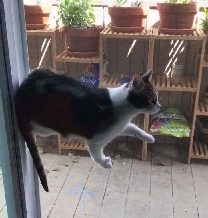 13 фото, которые сводят с ума, пока не поймешь, что на них изображено