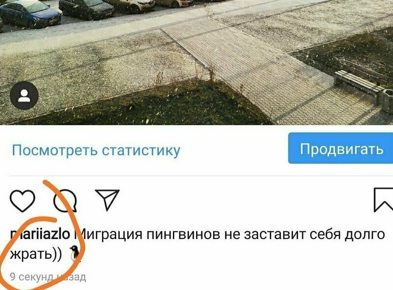Когда голодный 15 людей, которых жестко подставила автозамена
(16 фото)