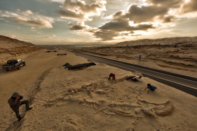 10 загадок пустыни, над которыми учёные до сих пор ломают головы