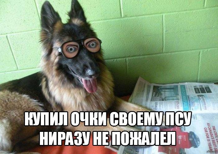 Смешные картинки с надписями Смешные картинки с надписями прикол, юмор