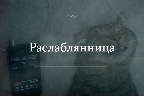   :  
