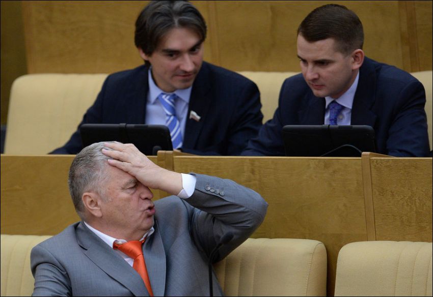 девушки, знаменитости, истории