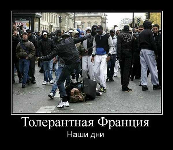 Иностранцы о толерастии:тупая безмозглая покорность приводит к шизофрении общества Иностранцы о толерастии:тупая безмозглая покорность приводит к шизофрении общества