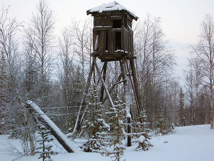 дорога, строительство