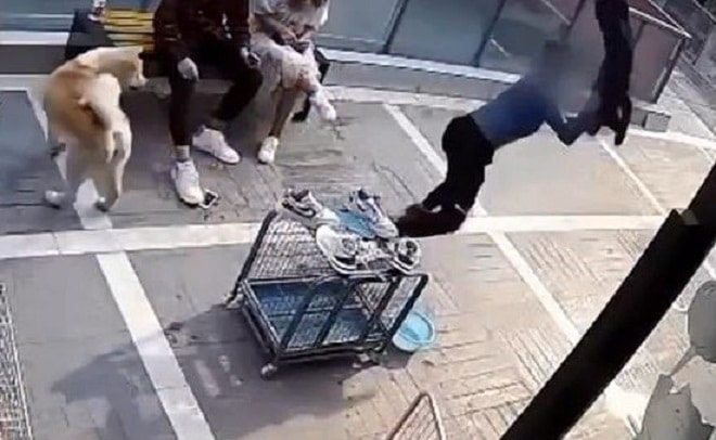 Щенок в воздухе Парень держит щенка