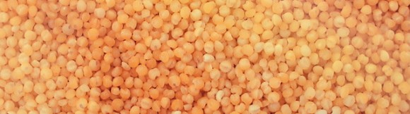 пшено для рыбалки как варить пшено для прикормки пшено для рыбалки как варить пшено для прикормки