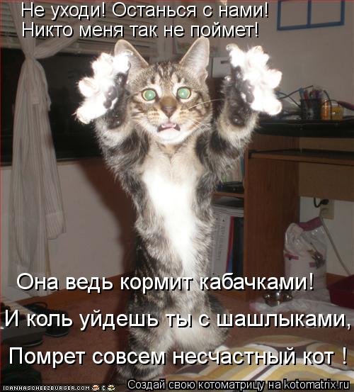 :  !   !     !    !      ,     !