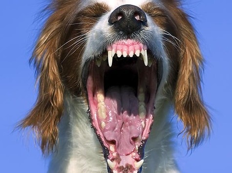 фото: Fotolia.com фото: Fotolia.com
