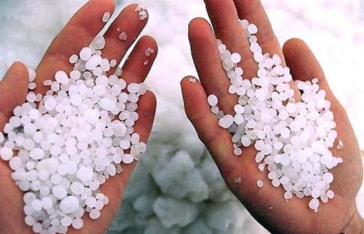 1267597264_cellyulit-morskaya-sol