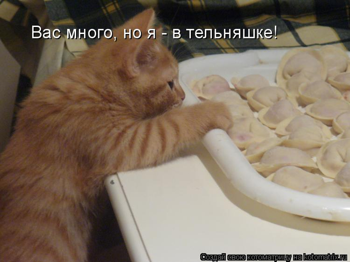 kotomatritsa_M (700x524, 283Kb)