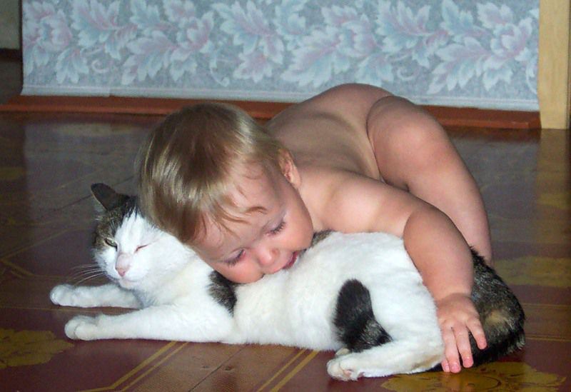 кошки, дети, дом